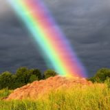 rainbow-dung-Noah-ark-sea-art-satire-comedy-humor