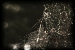 web halloween tale