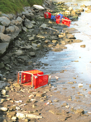 trolley shopping cart art beach sunbathers