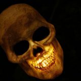 posthumous-art-profits-skull